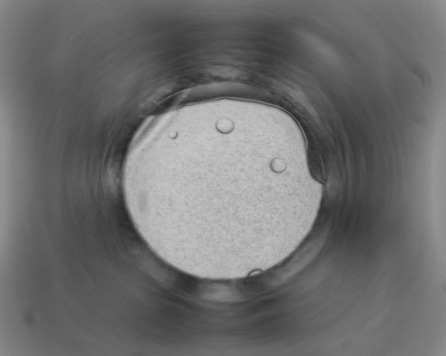 X0000114220285200911061513