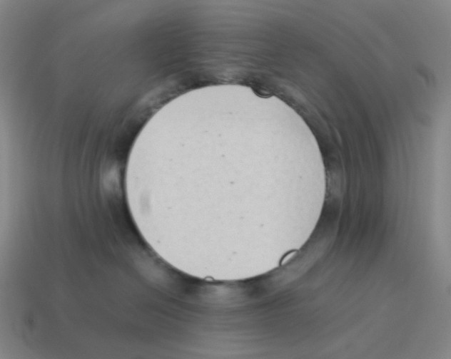 X0000114220286200911061513