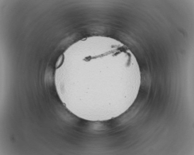 X0000114220287200911061513