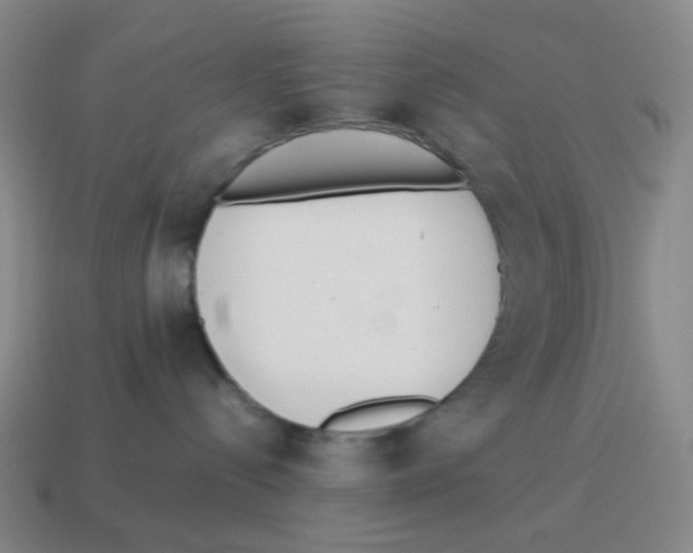 X0000114220288200911061513