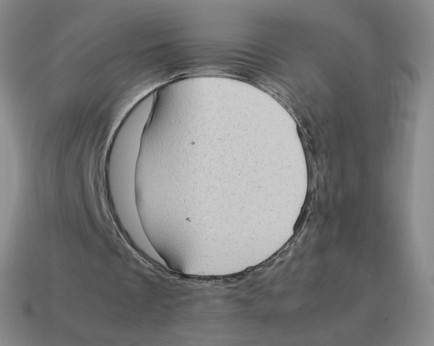 X0000114220289200911061513