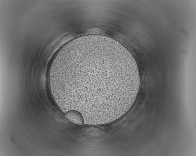 X0000114220290200911061513