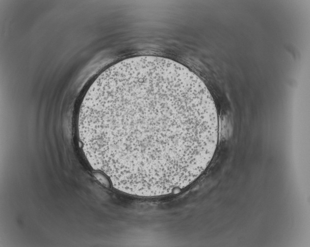 X0000114220291200911061513