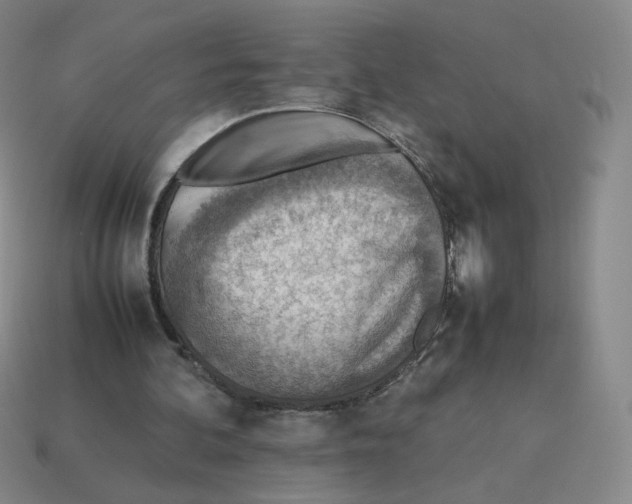 X0000114220292200911061513