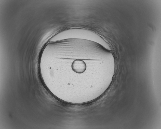 X0000114220293200911061513