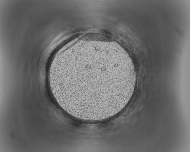 X0000114220295200911061513