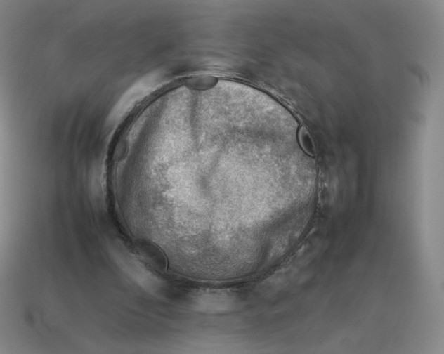 X0000114220296200911061513