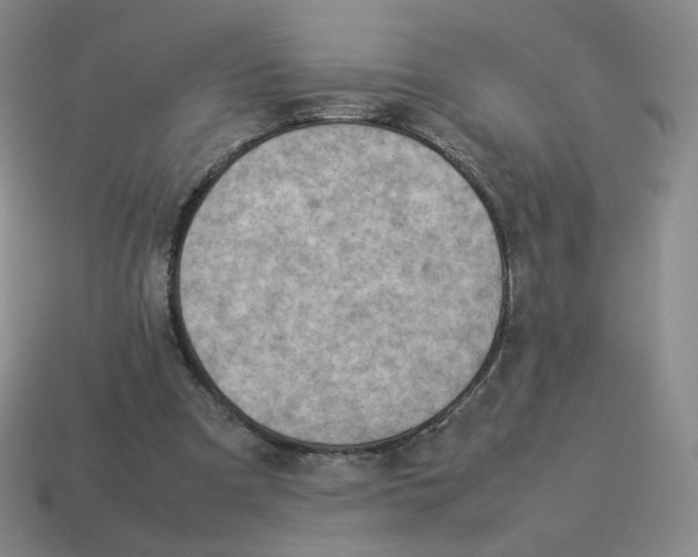 X0000114220297200911061513