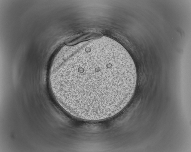 X0000114220299200911061513