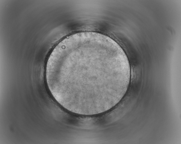 X0000114220301200911061513