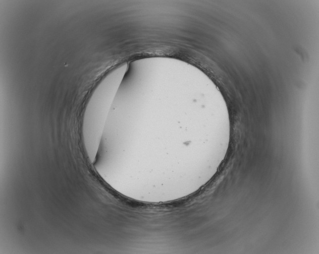 X0000114220305200911061513