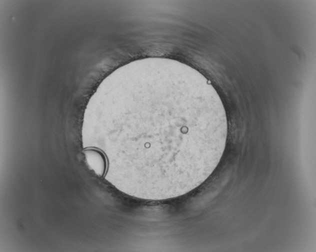 X0000114220307200911061513