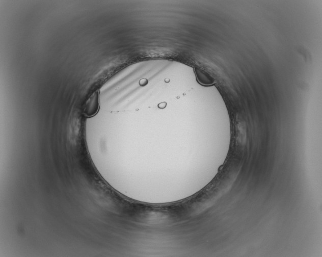 X0000114220308200911061513