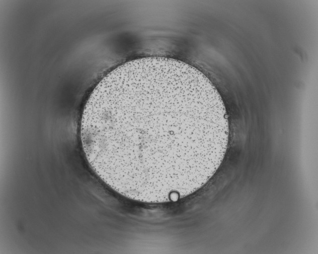 X0000114220309200911061513