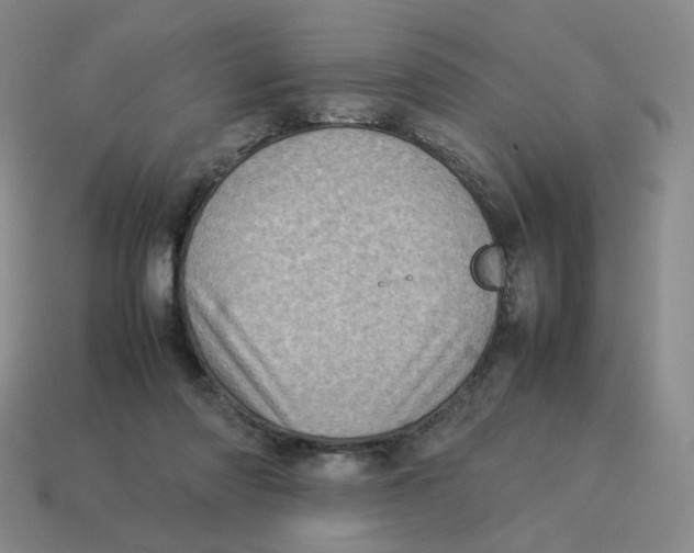 X0000114220310200911061512