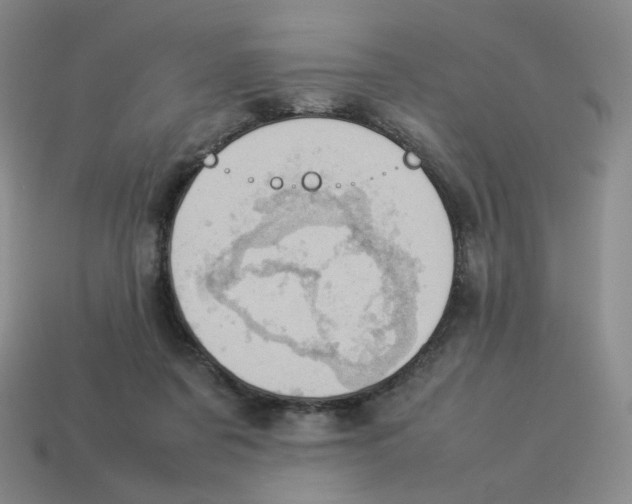 X0000114220311200911061512