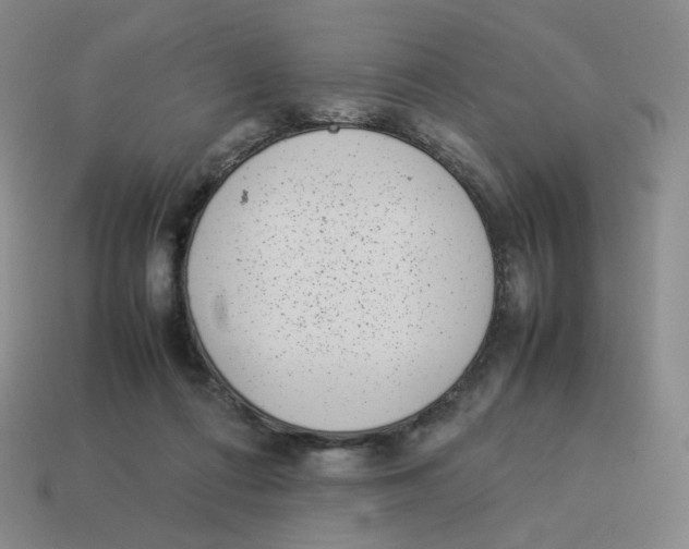 X0000114220312200911061512