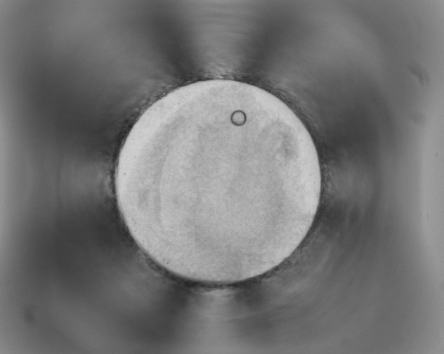 X0000114220313200911061512