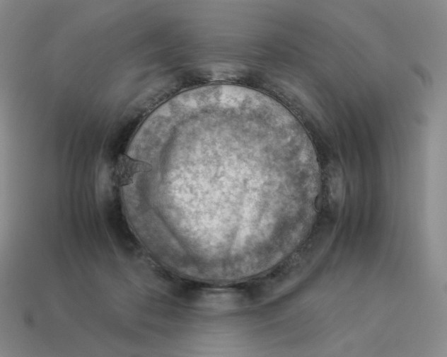 X0000114220316200911061512