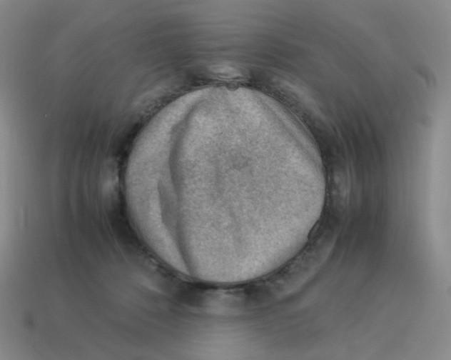 X0000114220320200911061512