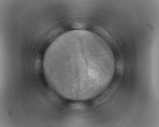 X0000114220322200911061512