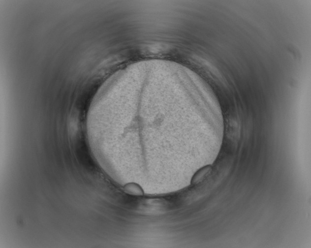 X0000114220324200911061512