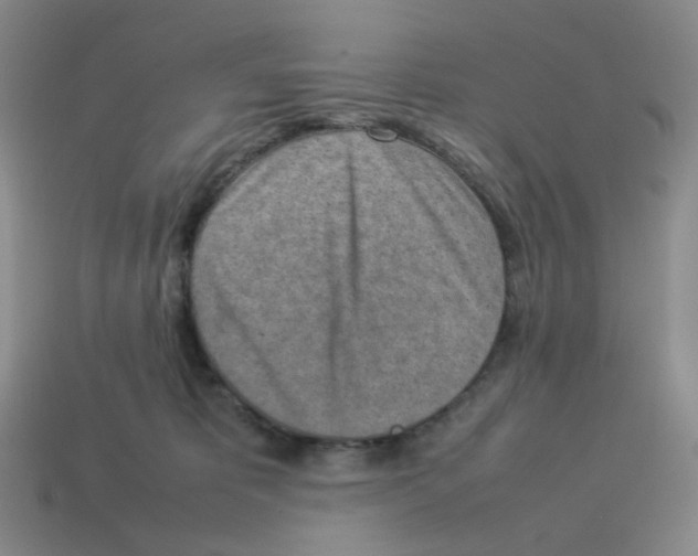 X0000114220325200911061512