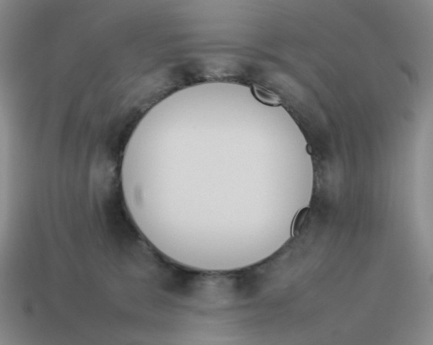 X0000114220327200911061512