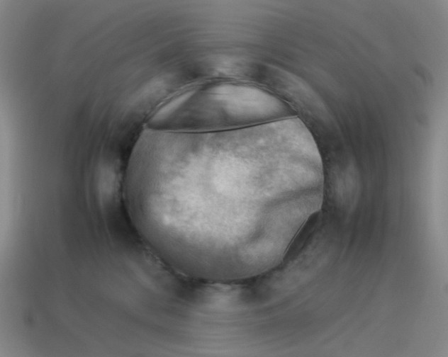 X0000114220328200911061512