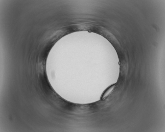 X0000114220329200911061512