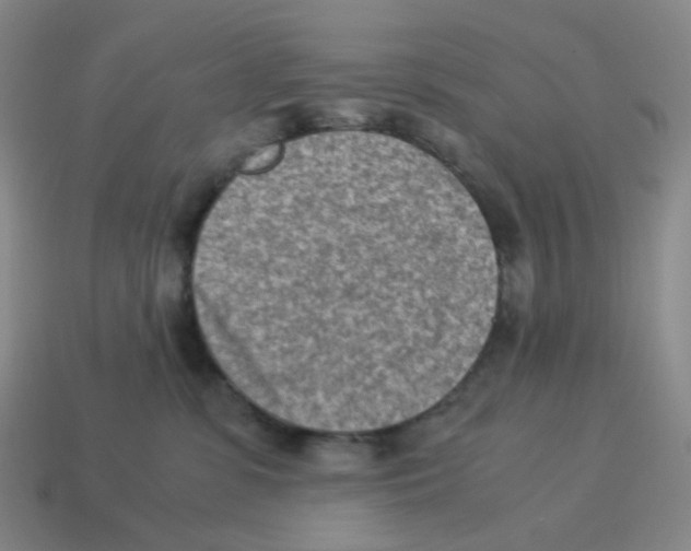 X0000114220331200911061512