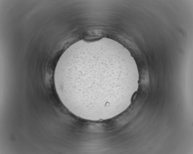 X0000114220332200911061512