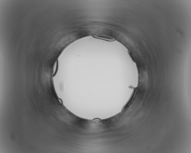 X0000114220333200911061512