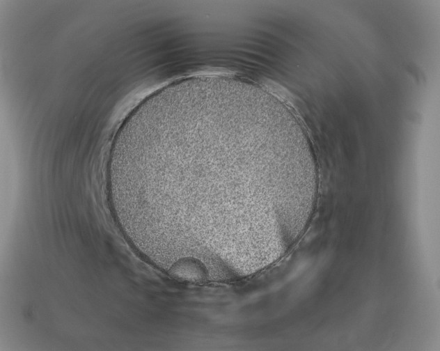 X0000114220337200911061511