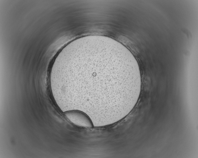 X0000114220338200911061511