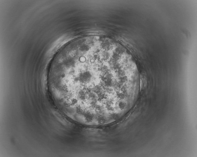 X0000114220339200911061511