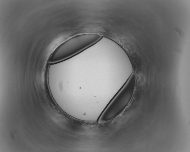 X0000114220340200911061511