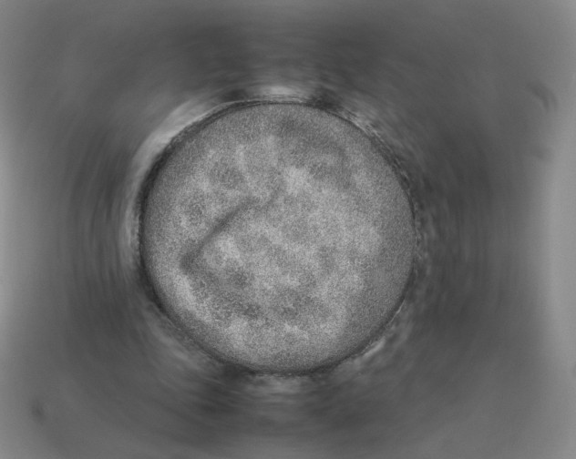 X0000114220343200911061511