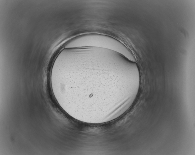 X0000114220344200911061511