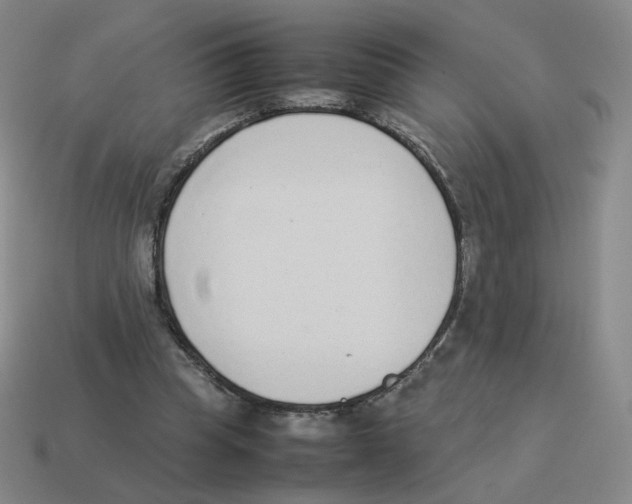 X0000114220345200911061511