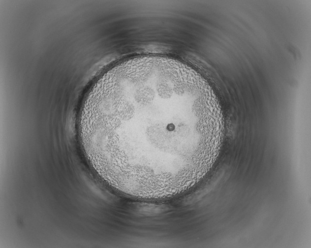 X0000114220347200911061511