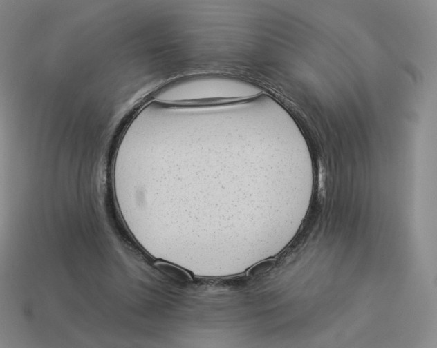 X0000114220348200911061512