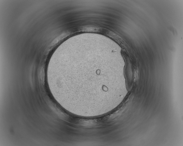 X0000114220349200911061512