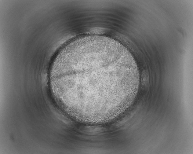 X0000114220351200911061512