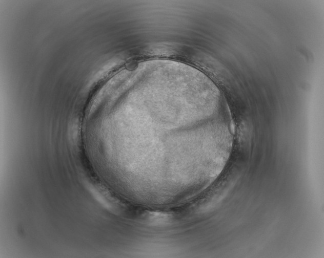 X0000114220352200911061512