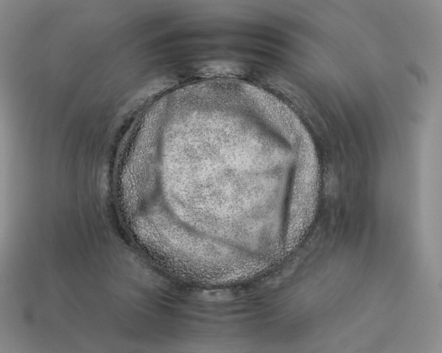 X0000114220353200911061512