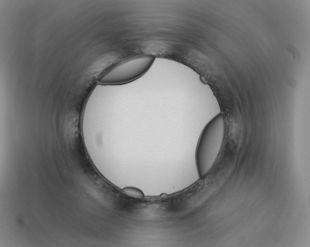 X0000114220356200911061512