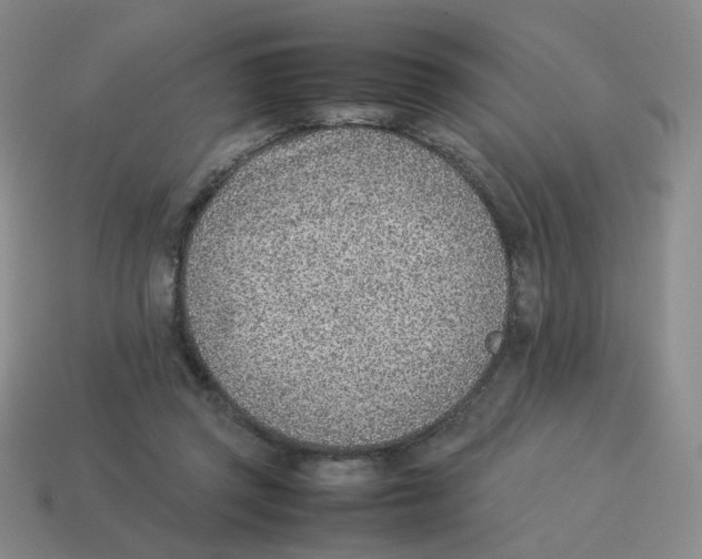 X0000114220357200911061512