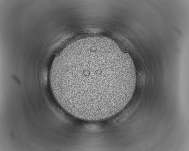 X0000114220358200911061512