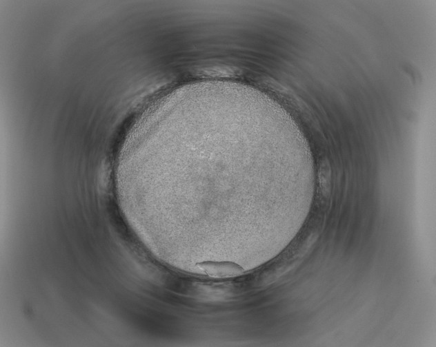 X0000114220359200911061512